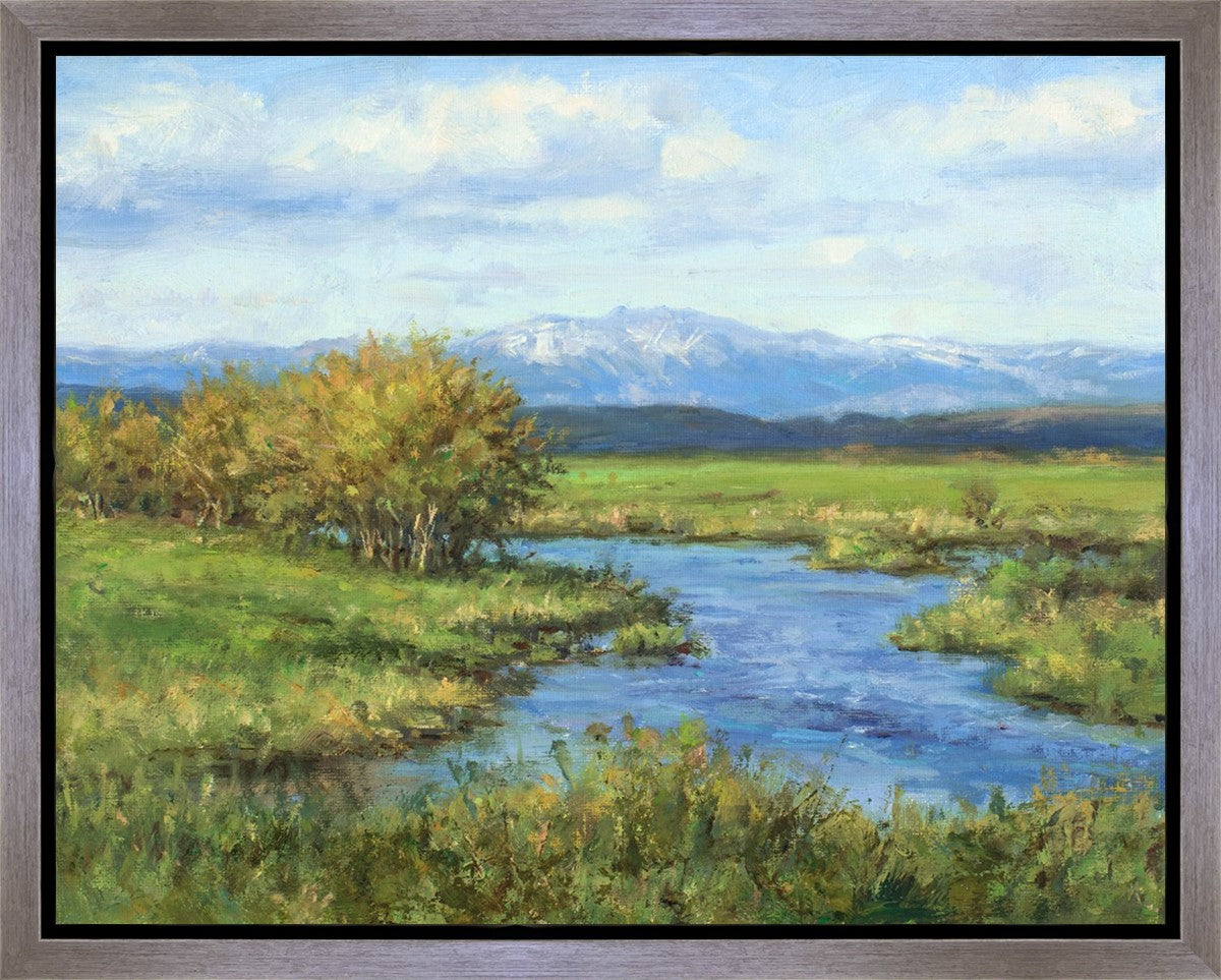 Spring Runoff on Camas Creek