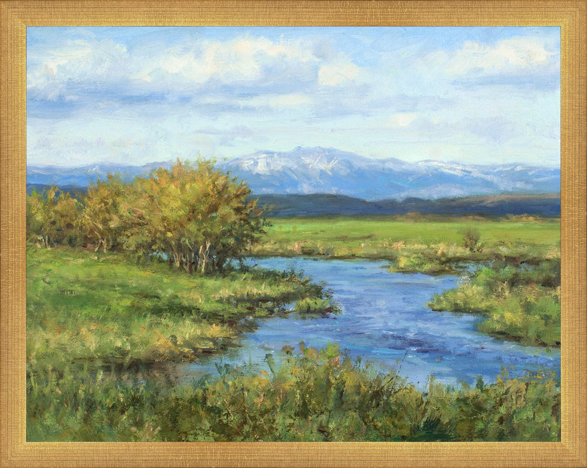 Spring Runoff on Camas Creek