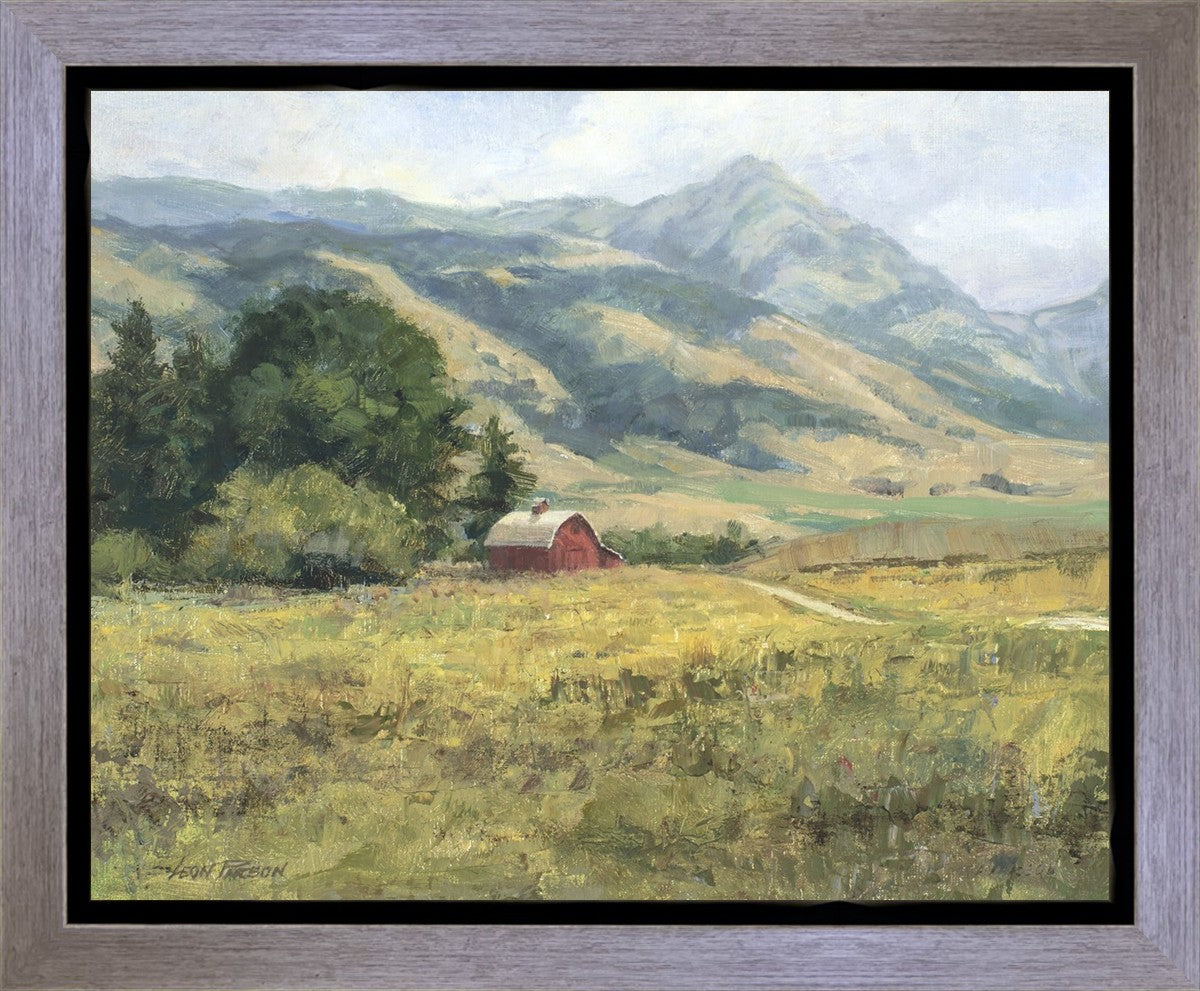 Red Barn in The Wilderness