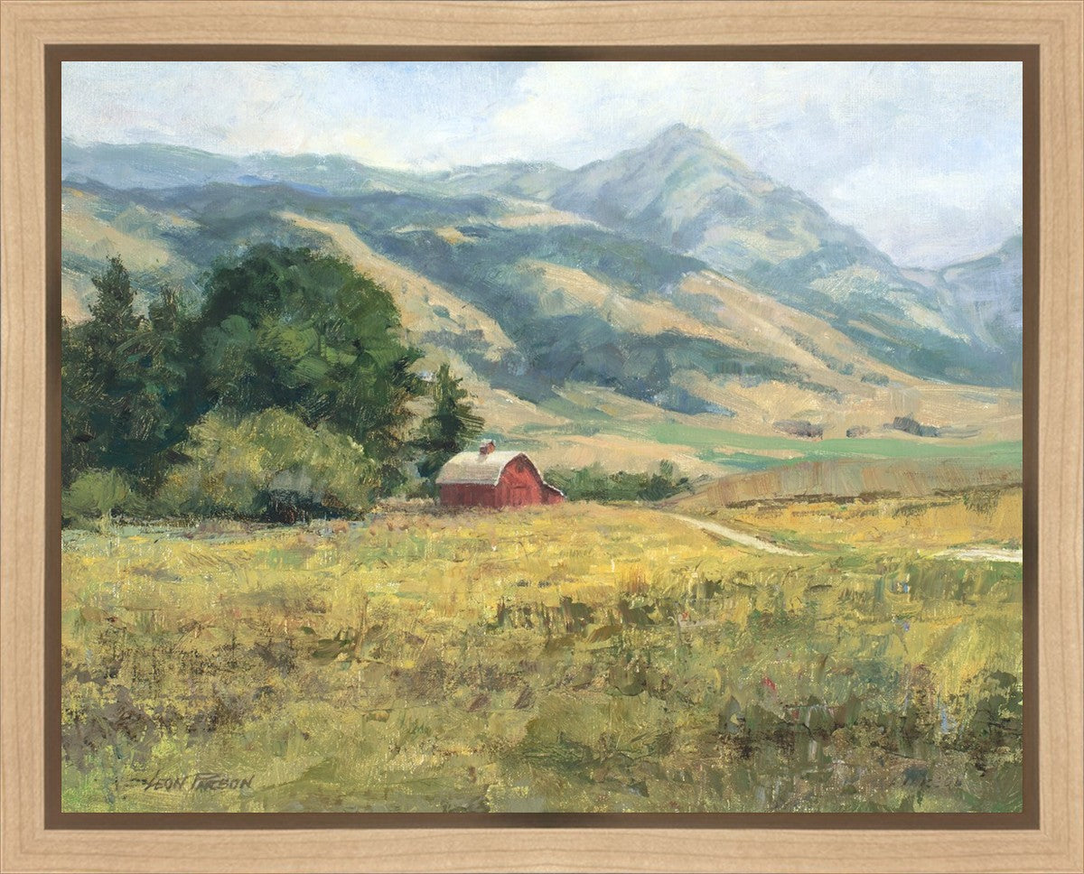 Red Barn in The Wilderness