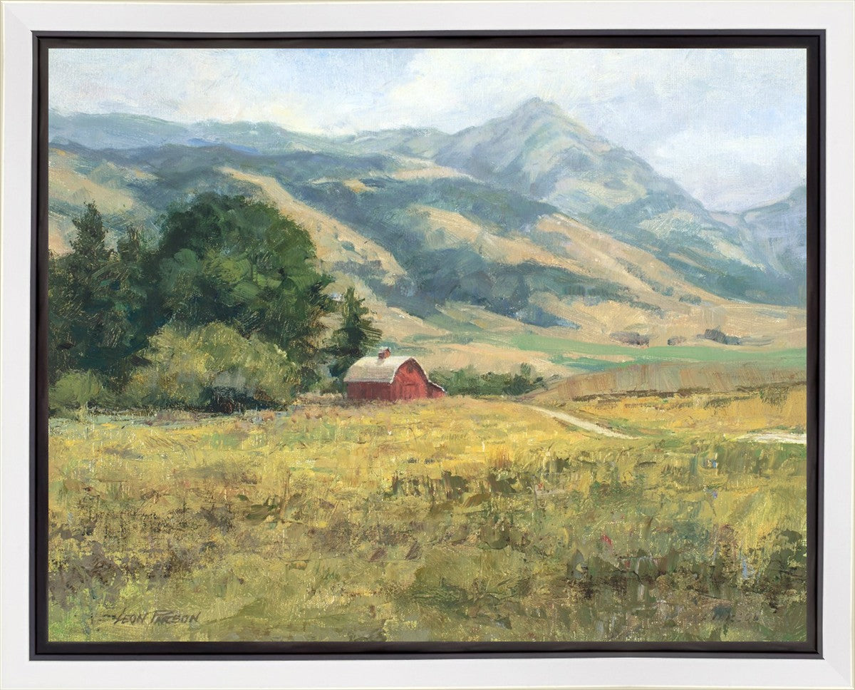 Red Barn in The Wilderness