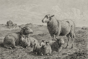 The Lamb of God Large Wall Art