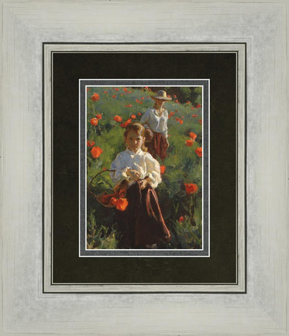 Poppies
