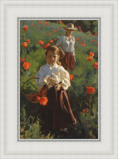 Poppies