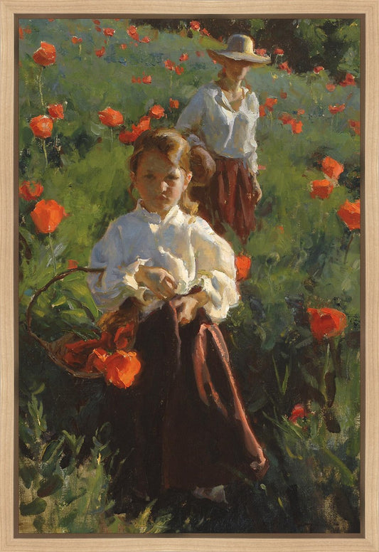 Poppies