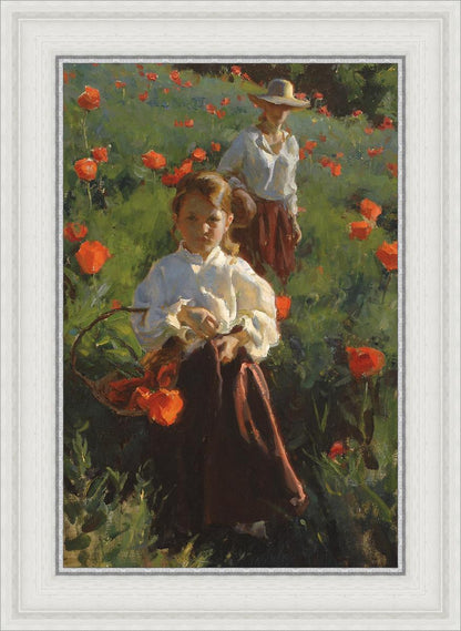 Poppies