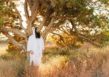 Our Tree of Life