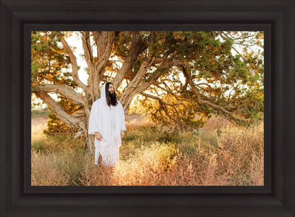 Our Tree of Life
