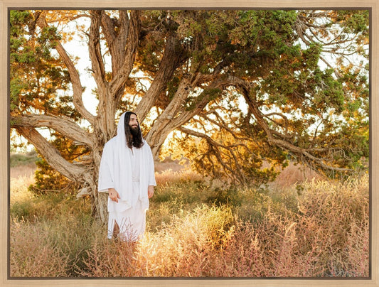 Our Tree of Life