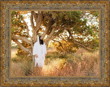 Our Tree of Life