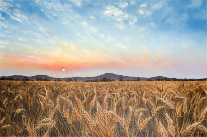 Golden Hour Gallery Wrap