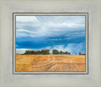 Stormy Skies