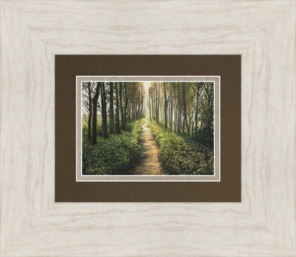 Enjoy The Beauty On Your Broken Path, Forest Walkway