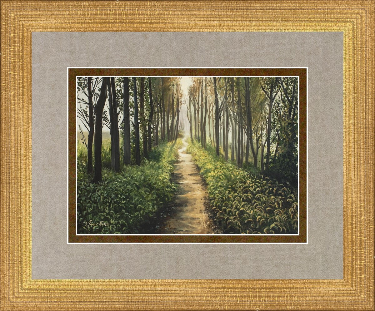 Enjoy The Beauty On Your Broken Path, Forest Walkway