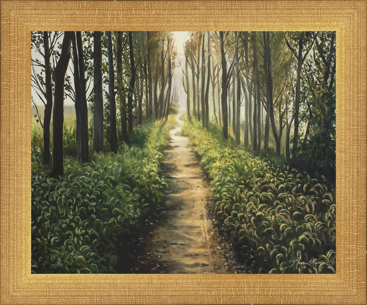 Enjoy The Beauty On Your Broken Path, Forest Walkway