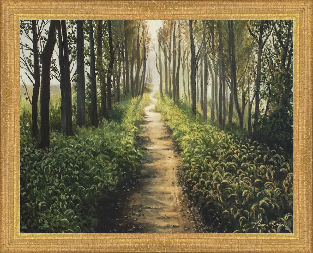 Enjoy The Beauty On Your Broken Path, Forest Walkway