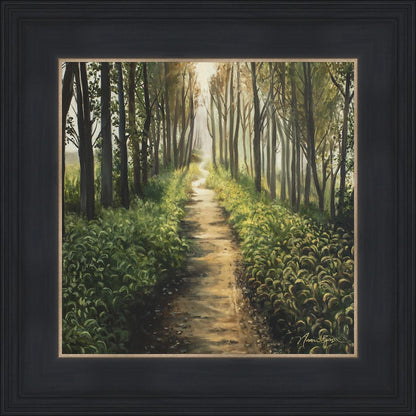 Enjoy The Beauty On Your Broken Path, Forest Walkway