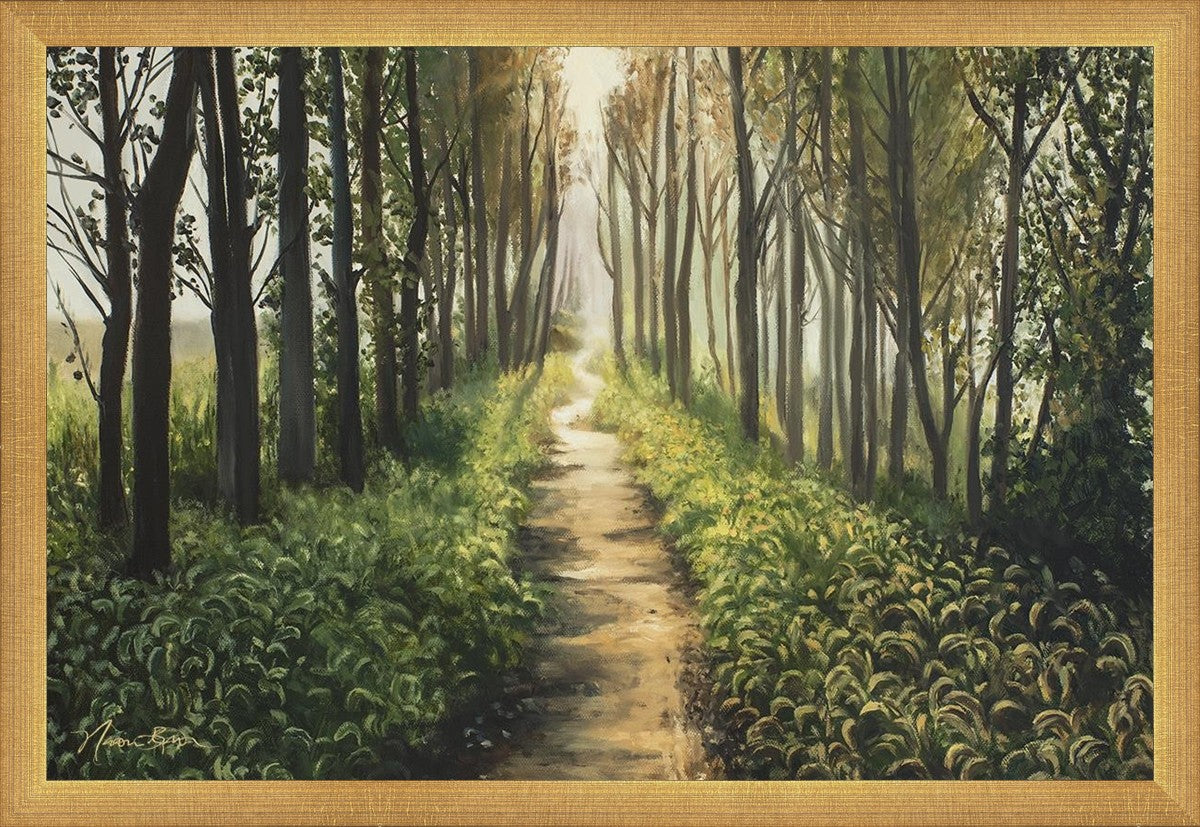 Enjoy The Beauty On Your Broken Path, Forest Walkway