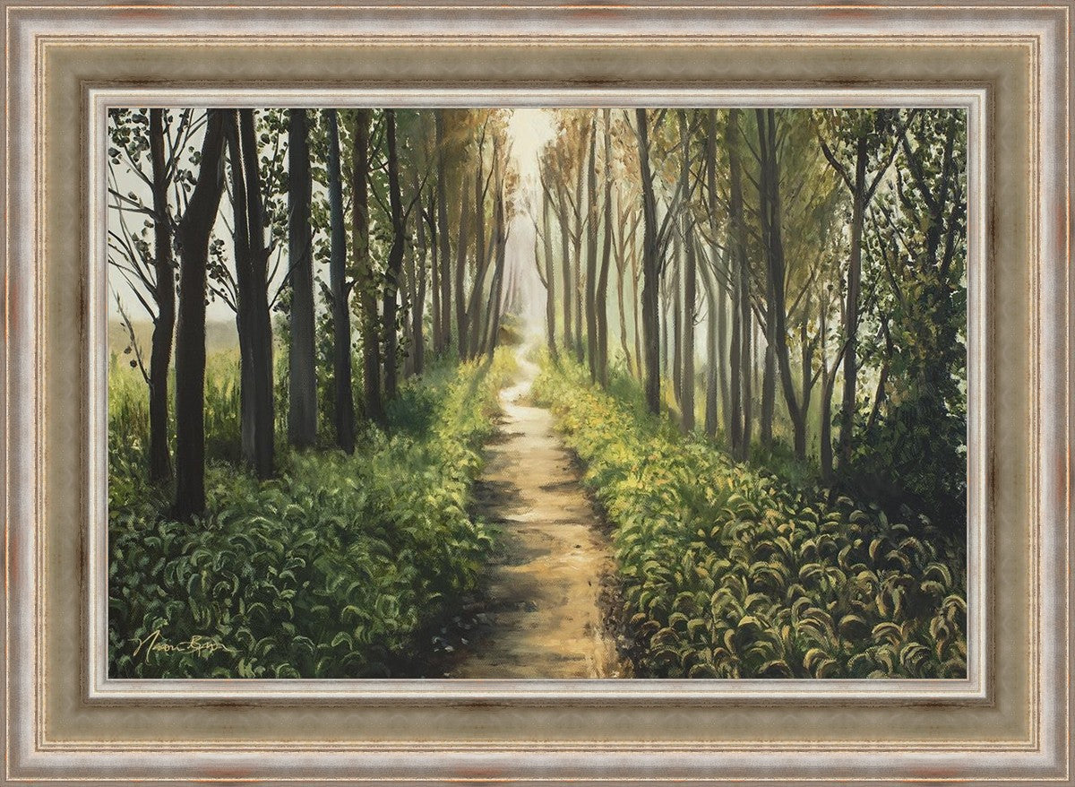 Enjoy The Beauty On Your Broken Path, Forest Walkway