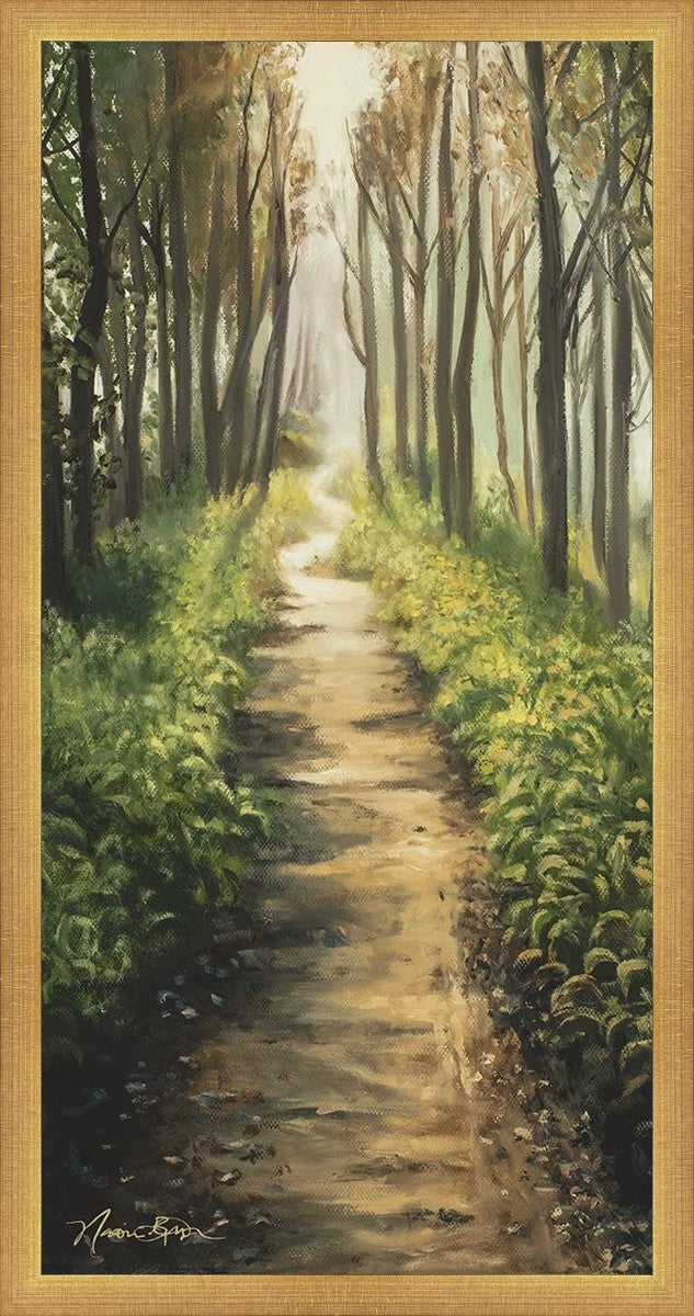 Enjoy The Beauty On Your Broken Path, Forest Walkway