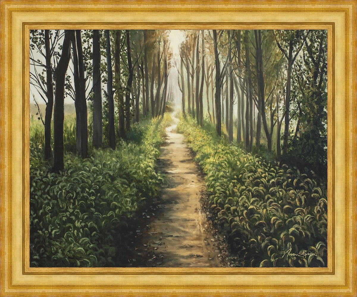 Enjoy The Beauty On Your Broken Path, Forest Walkway