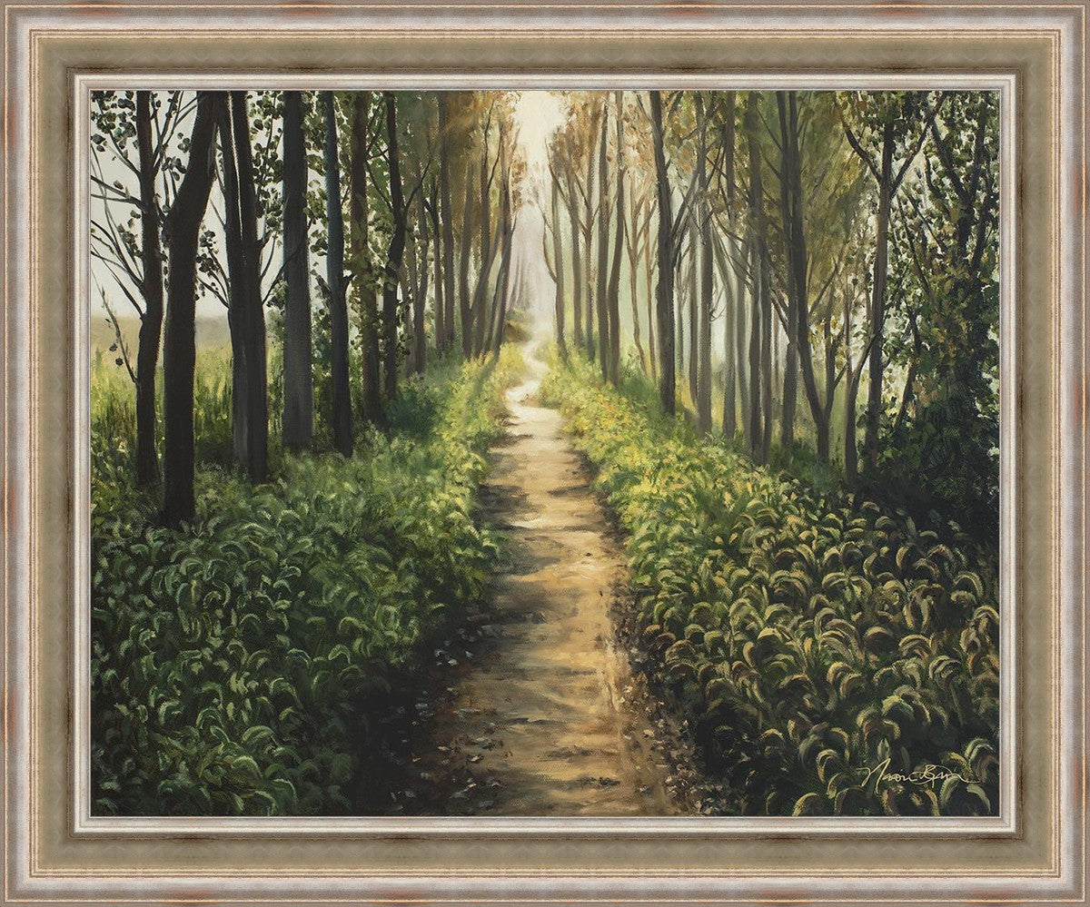 Enjoy The Beauty On Your Broken Path, Forest Walkway