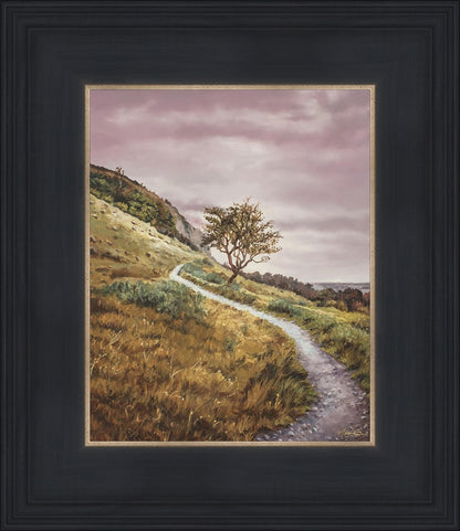 Enjoy the Beauty on your Broken Path Mountain Top