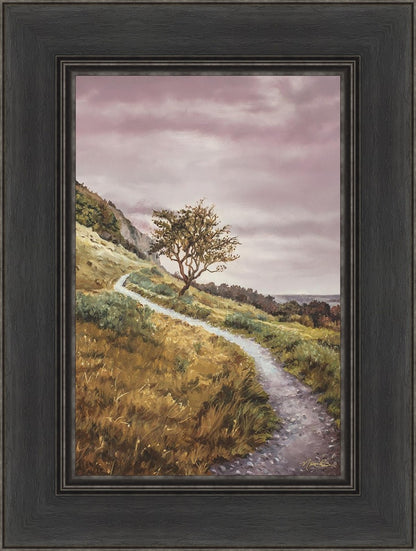 Enjoy the Beauty on your Broken Path Mountain Top