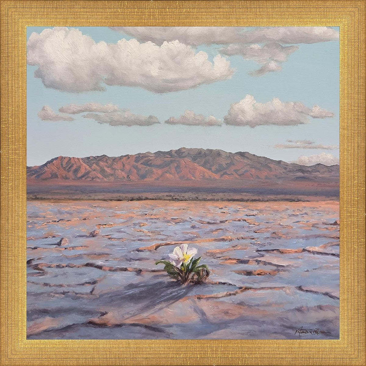 Bloom Where You Are Planted