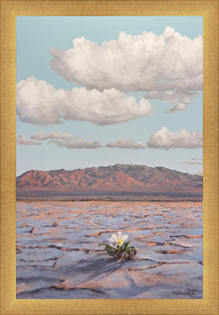 Bloom Where You Are Planted