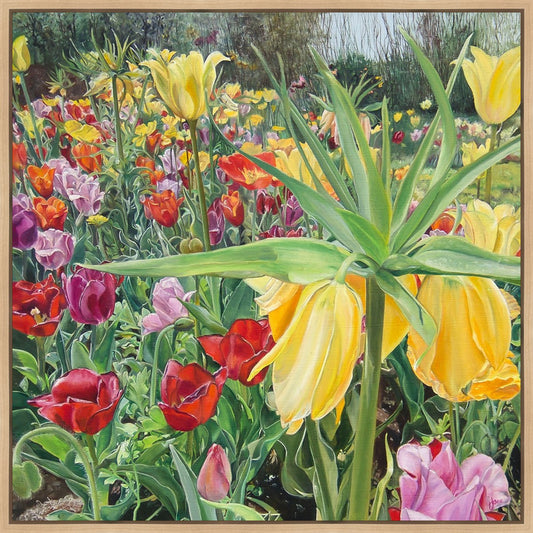 Carousel Tulips
