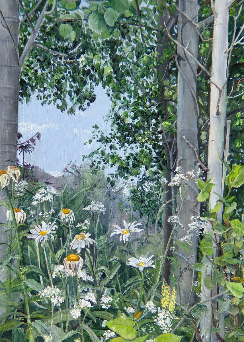 Quakies and Daisies