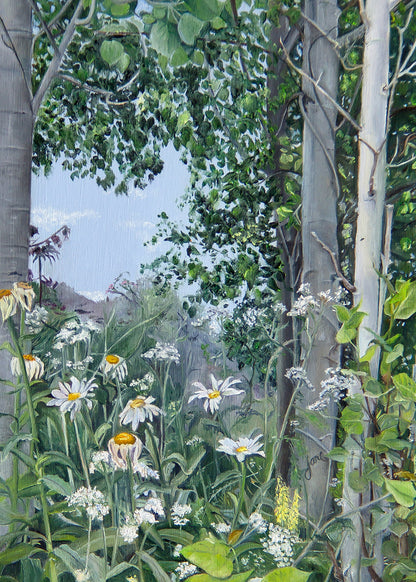 Quakies and Daisies