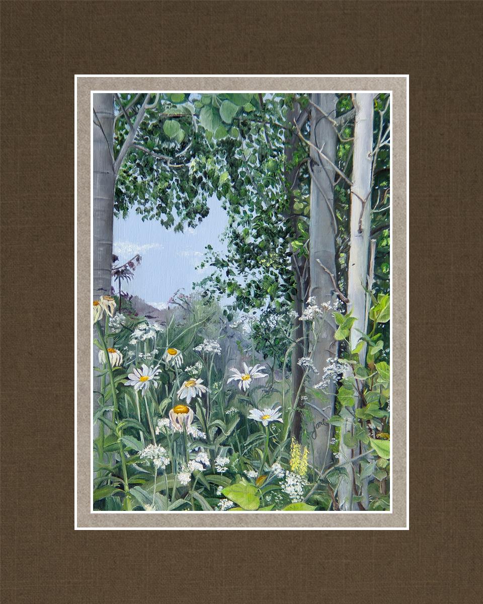 Quakies and Daisies