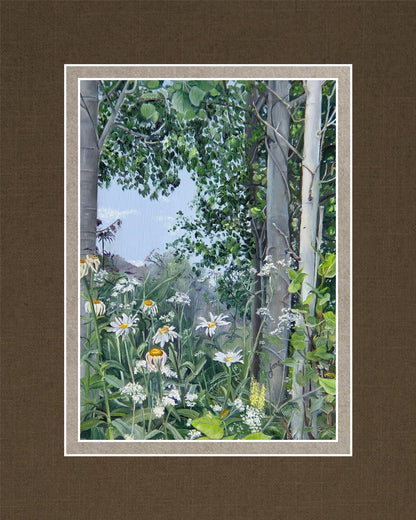 Quakies and Daisies