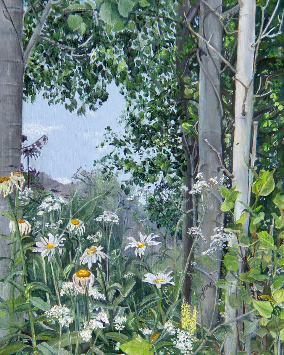 Quakies and Daisies