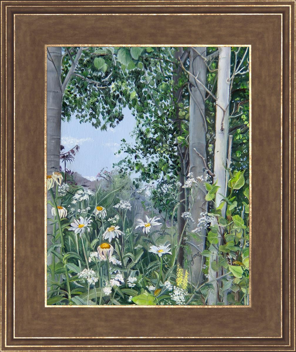 Quakies and Daisies