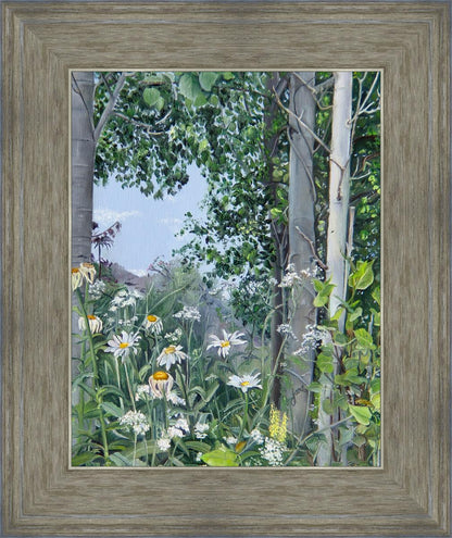 Quakies and Daisies