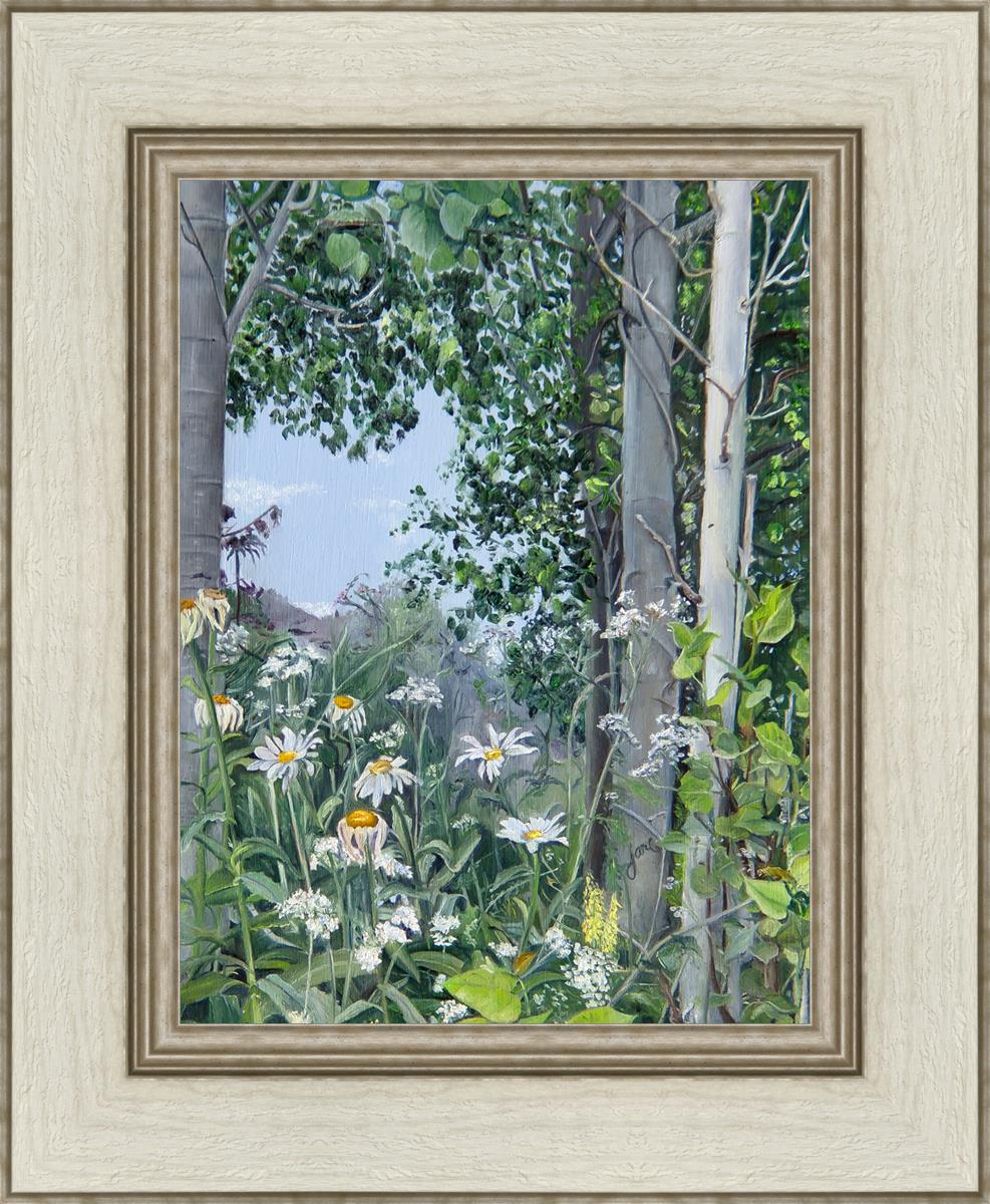 Quakies and Daisies