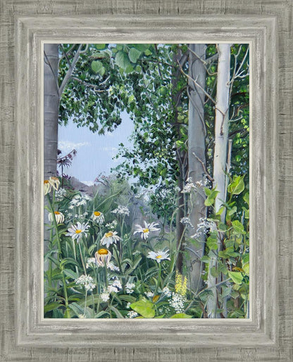 Quakies and Daisies