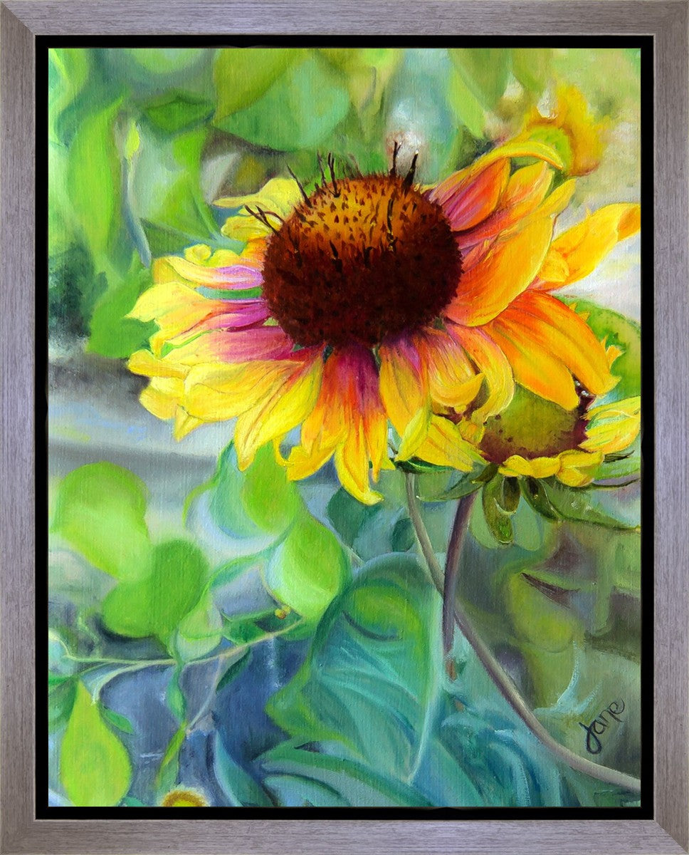 Indian Blanket Flower