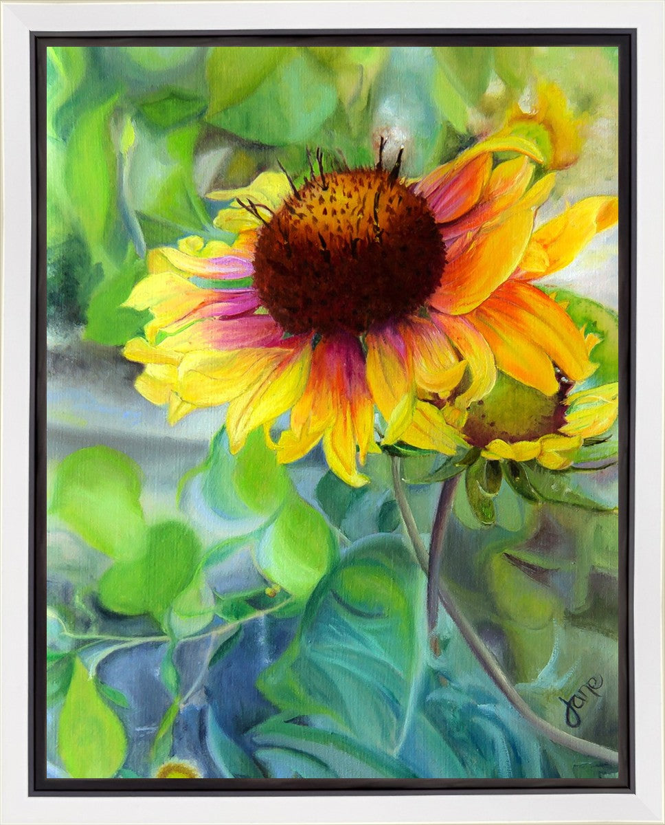 Indian Blanket Flower