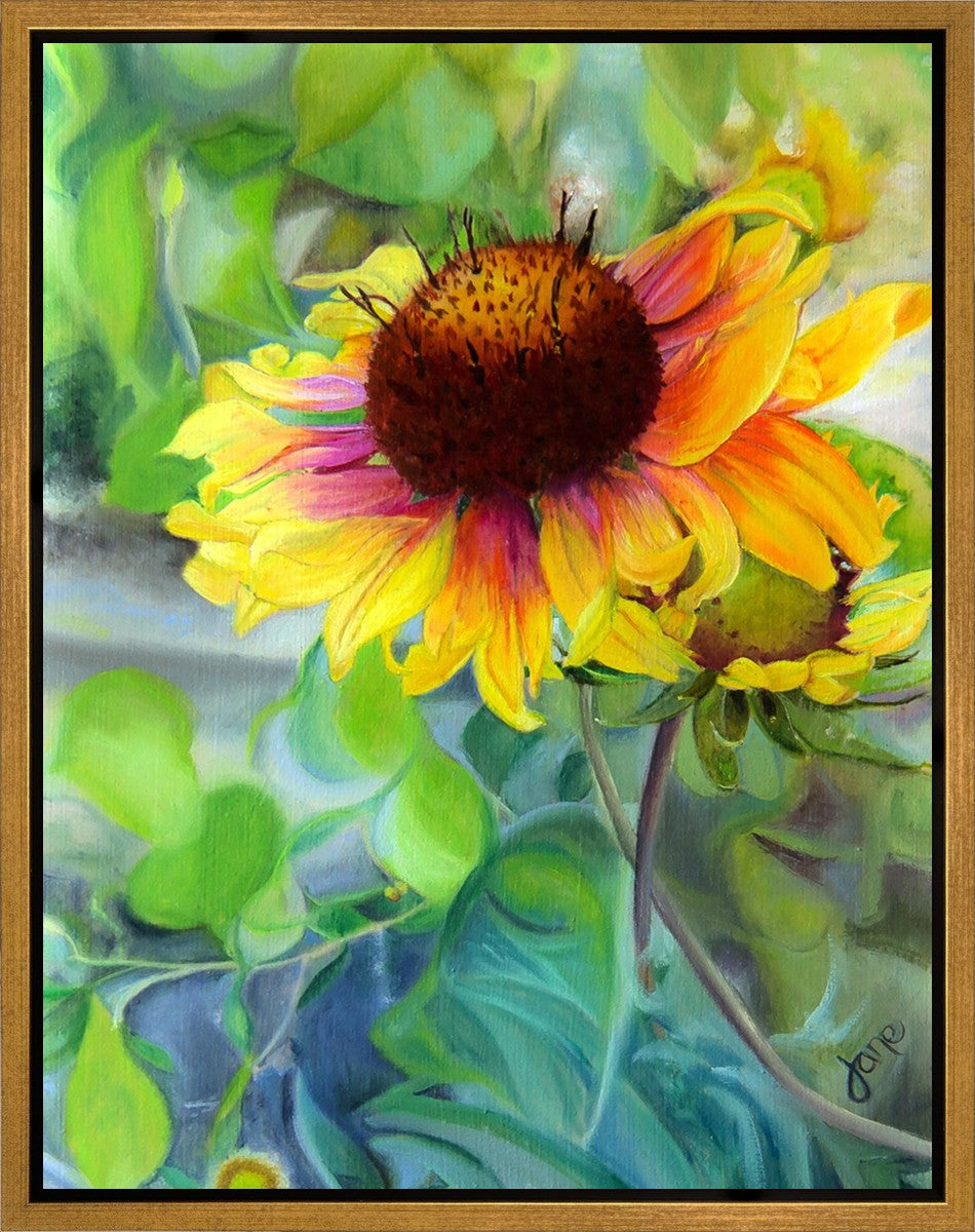 Indian Blanket Flower