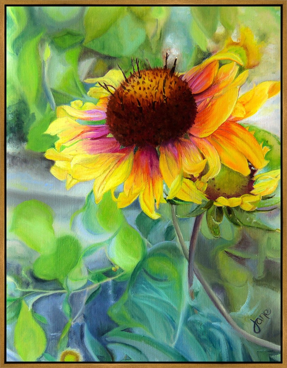 Indian Blanket Flower