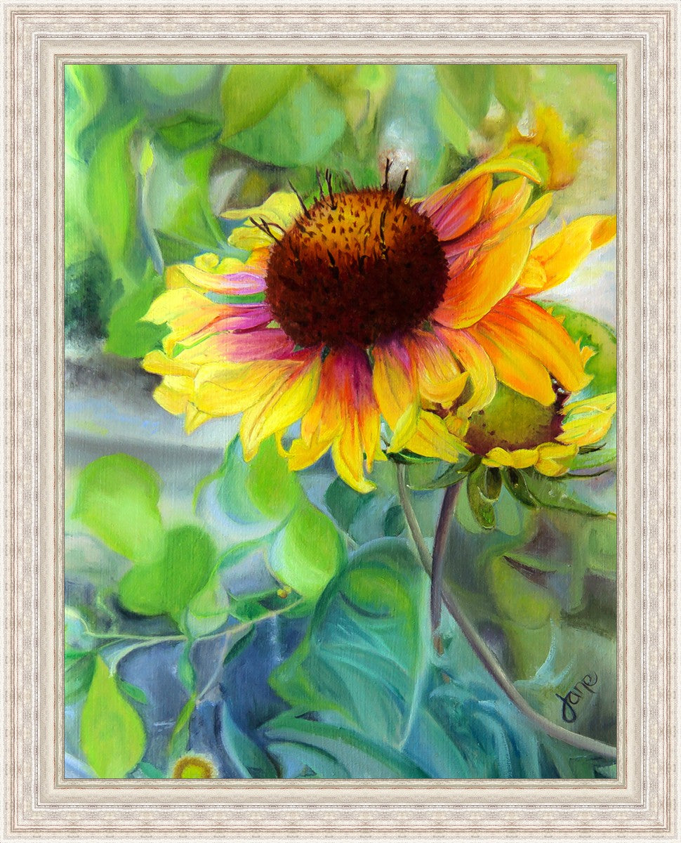 Indian Blanket Flower