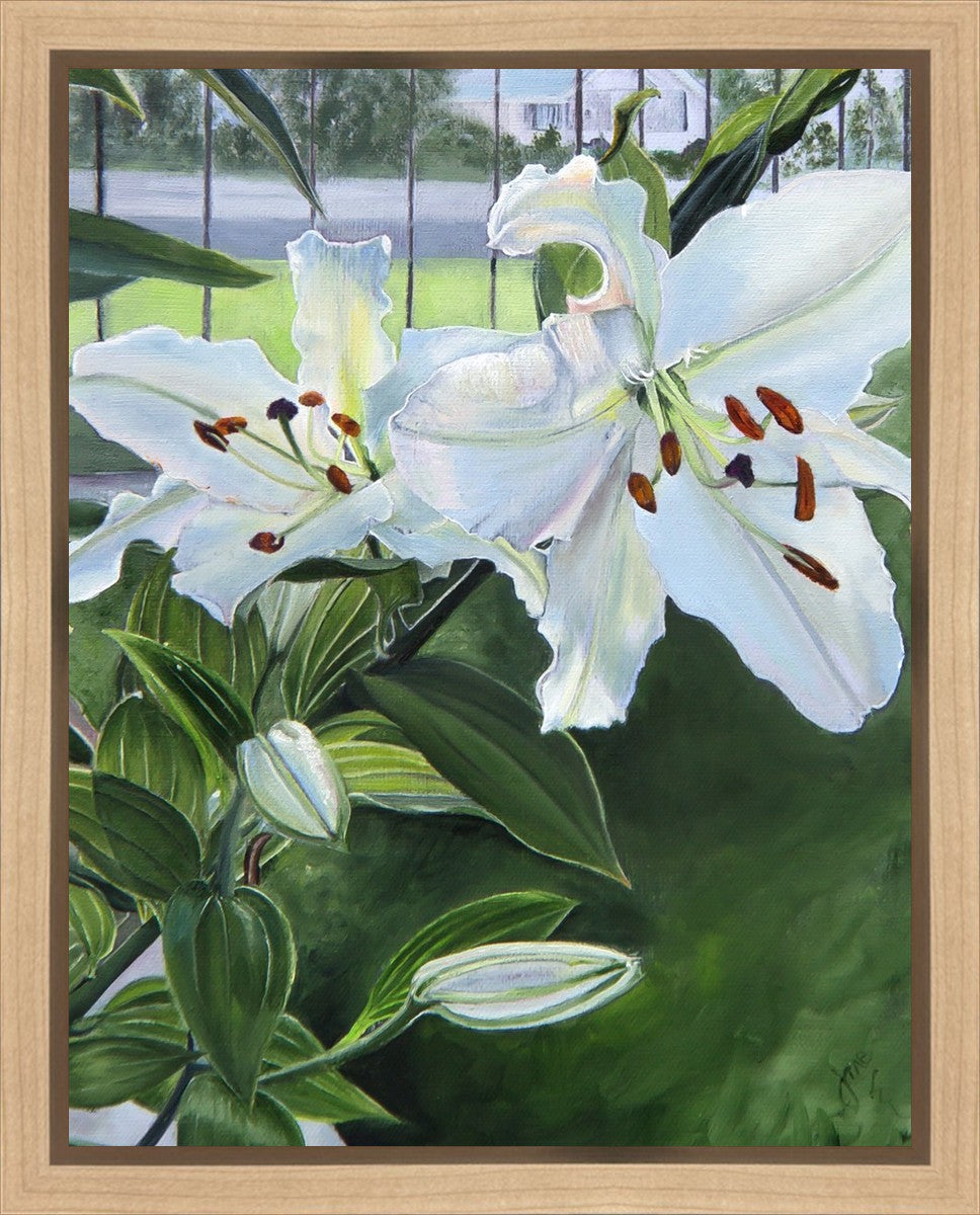 Luscious Lillies