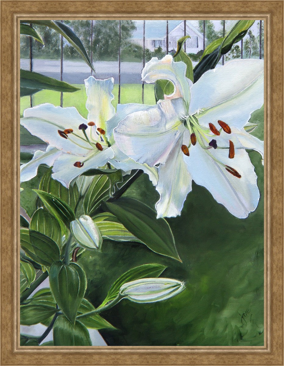 Luscious Lillies
