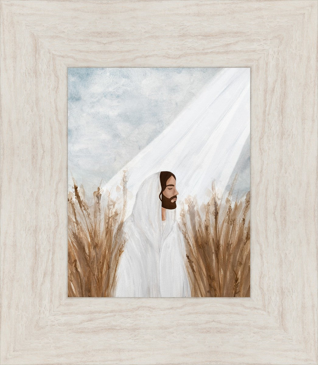 The Good Seed