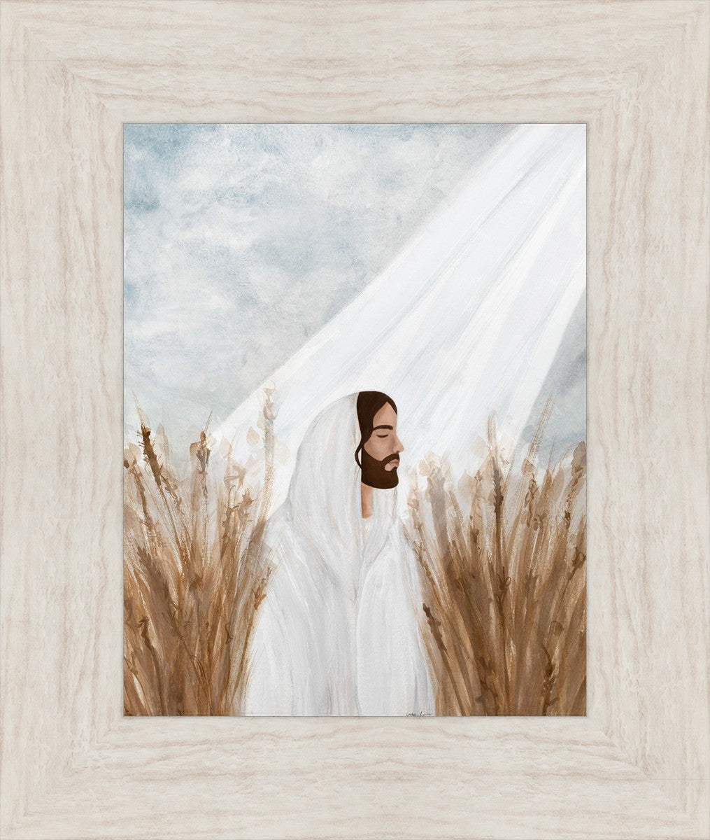 The Good Seed