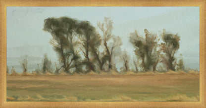 Trees